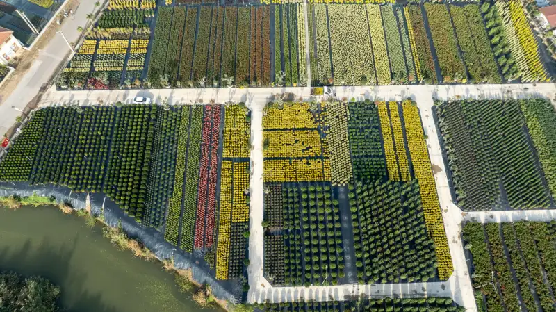 广州皮具制�行业2025年新材料应用趋势分析