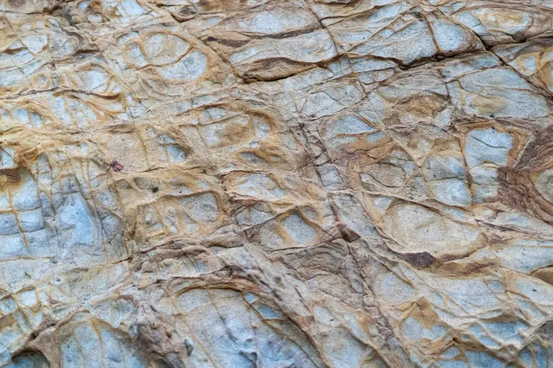 广州箱包皮具制造工艺升级：从选材到质检的全流程管控要点