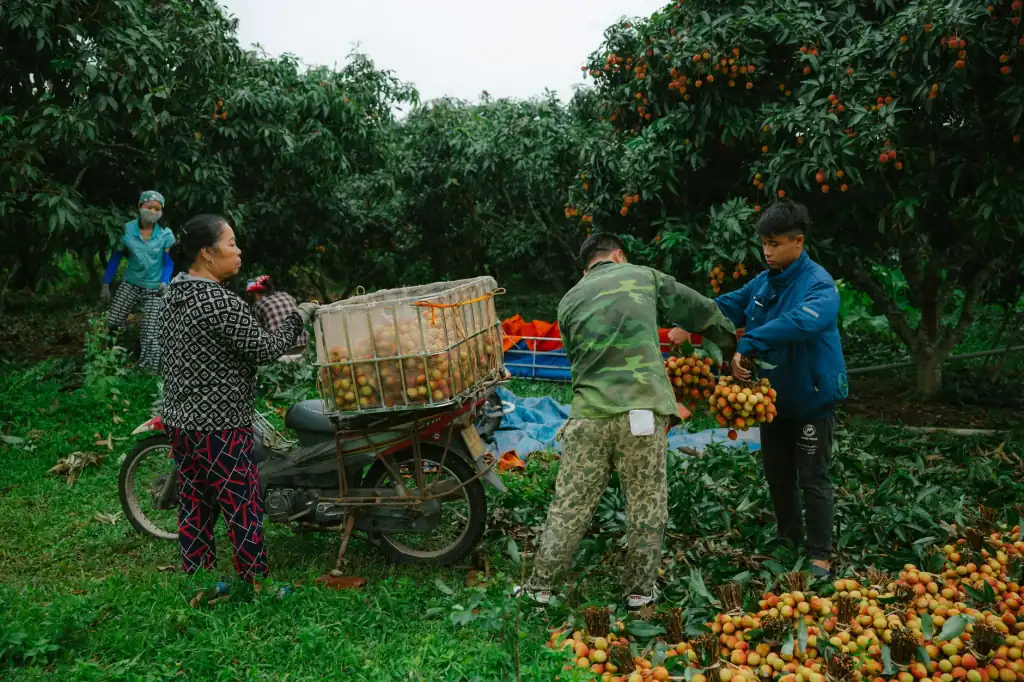 皮具贸易与箱包采购指南：品牌客户如何筛选广州皮具厂家