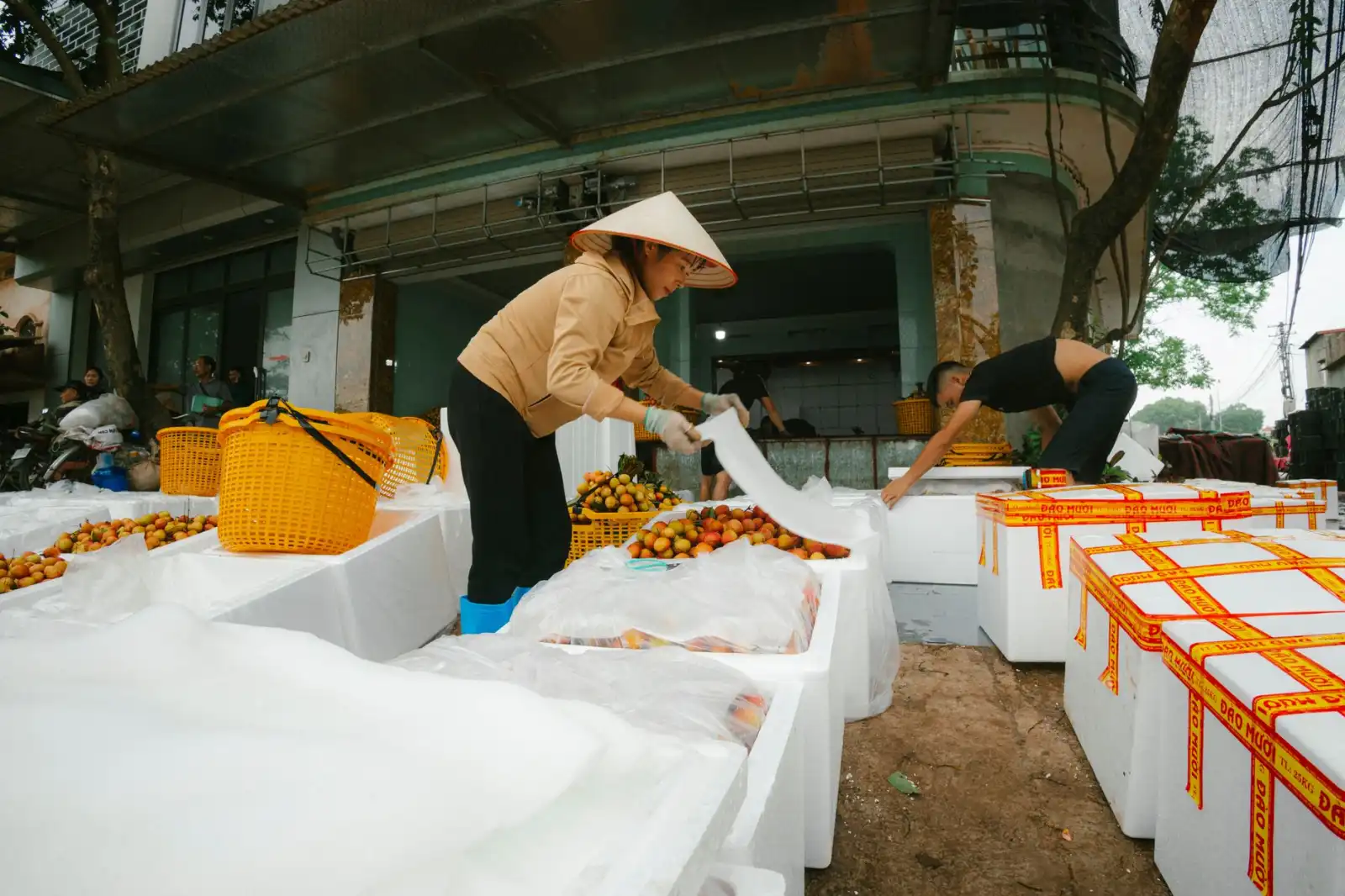 从选材到成品：皮具制造中真皮与超纤面料的质量管控对比分析