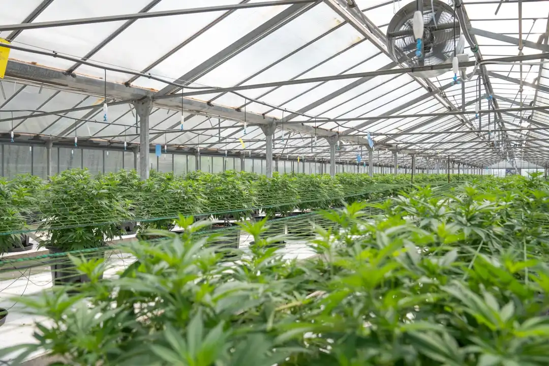 广州皮具制�行业2024年技术趋势与工艺创新方向